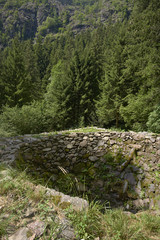 regrane del v&ograve;