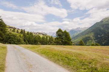 Guarda, Dorf, Bergdorf, Engadin, Unterengadin, Wanderweg, Feldweg, Bergbauer, Landwirtschaft, Lavin, Alpen, Schweizer Berge, Graub&uuml;nden, Sommer, Schweiz