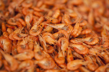 Shrimps background texture