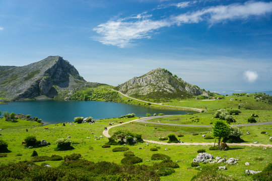 Beautiful nature of Spain: Covadonga mountain lakes in summer sunny day with blue sky and clouds