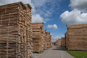 Lumber yard, wooden boards