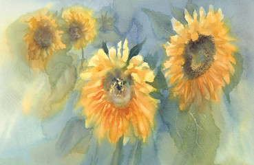 Fototapeta na wymiar sunflowers on the green background watercolor