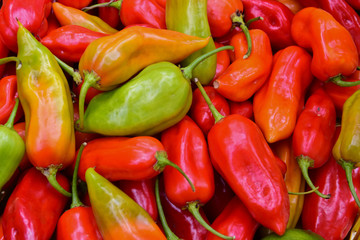 pimientos