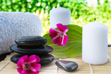 Fototapeta na wymiar Candles, flowers, stones on a background of greenery for spa massage relaxation