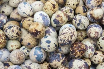 Obraz premium Quail eggs, pattern