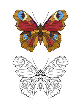 Set of colored and outline butterfly.   Stock line vector illustration. 