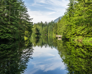 Obraz premium The forest and cloudy sky reflected in the lake