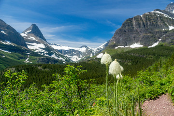 Landschaft im Glacier National Park, Montana © schame87