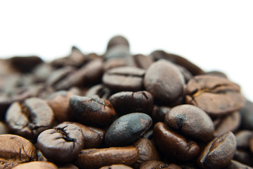 Coffee Bean isolated.