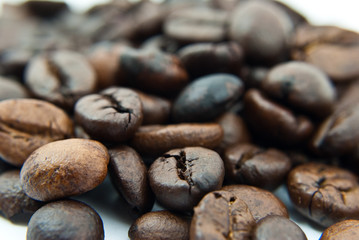 Coffee Bean isolated.