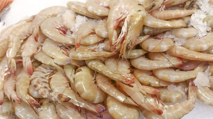 shrimps