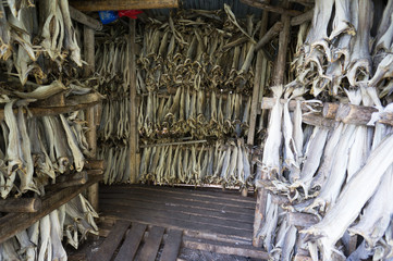 FIsh hanging in shed to dry