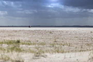 Fototapeta na wymiar Paar wandert durch die Sandwüste auf Römö in Dänemark, Skandinavien