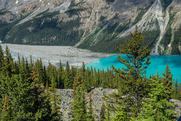 Obraz premium Türkisfarbener Peyto Lake, Banff Nationalpark, Alberta, Canada