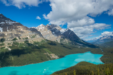 Fototapeta na wymiar Türkisfarbener Peyto Lake, Banff Nationalpark, Alberta, Canada