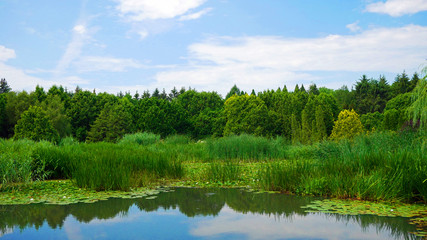 Fototapeta na wymiar Beautiful lake in the earth of Montreal, Canada