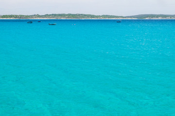 Fototapeta premium Kangaroo island paradise