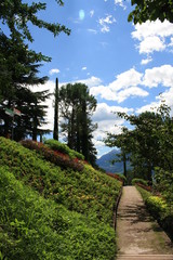 Fototapete bei efototapeten.de bestellen   