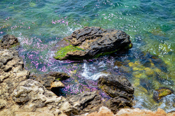 Steep, sharp, stone beaches on the Black Sea coast, in the vicinity of the city of Sevastopol of the Republic of Crimea, 2017