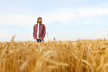 Portrait of a bearded farmer standing in a wheat field. Stilish hipster man with trucker hat and checkered shirt on. Agricultural worker