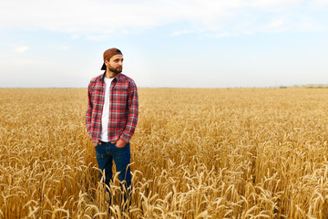 Naklejka na ściany i meble Portrait of a bearded farmer standing in a wheat field. Stilish hipster man with trucker hat and checkered shirt on. Agricultural worker