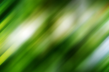 Blurred green background