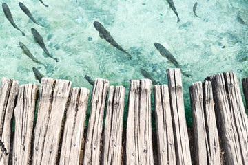 Wooden platform above clear turquoise water with fishes