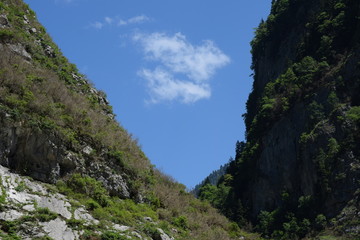 Каньон реки Гега  Кавказ