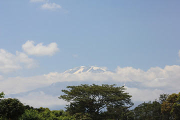Kilimandjaro