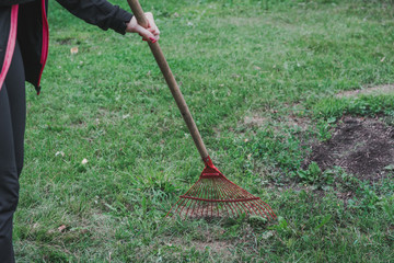 girl with a rake cleans the freshly cut grass from the lawn