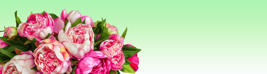 Pink peonies on green background.  Mother's day flowers card. © Nancy Pauwels