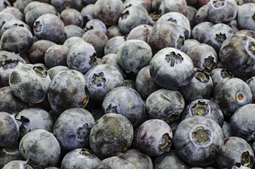 Background of fresh blueberries 