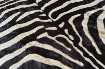 Zebra Skin