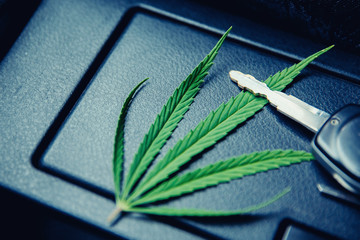 Green cannabis leaf, marijuana for cigarettes lies on a dark background with car keys. Concept...