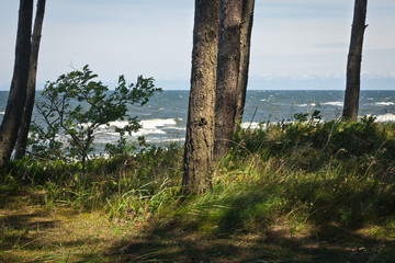 Wybrzeże Bałtyku © Mariusz Stoszewski