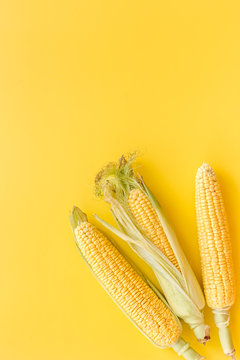 Corn on cobs on yellow background top view copyspace