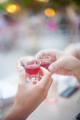 Friends celebrating and toasting