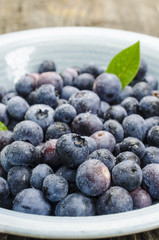 Fresh blueberry in bowl