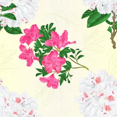 Foto op Plexiglas Seamless texture twig white and pink flower rhododendron  vintage vector editable illustration hand draw © zdenat5