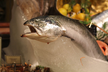 Raw salmon in the supermarket. Selling fish on the ice. 