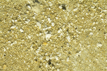 hermit crab on the sand beach, sand, pebbles on the sand beach.