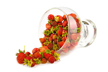 Wild strawberry in a glass on a white background