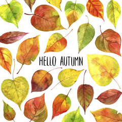 Obraz premium background with autumn leaves