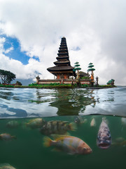 Half under water shot with fish in Pura ulun Danu Bratan temple