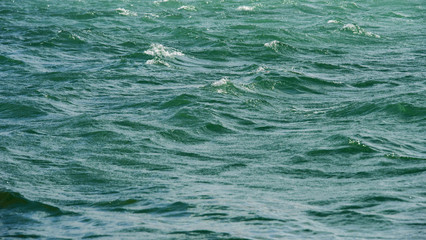 Green waves of Dubai Creek