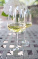 Two Glasses of White Wine on a Garden Table Outdoors