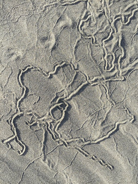 Close up of markings on beach sand
