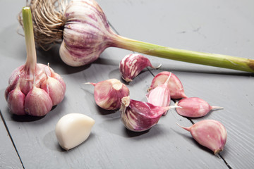 fresh garlic gray background