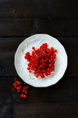 Fresh red currant