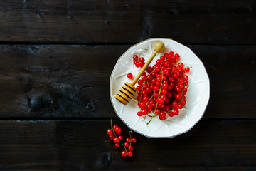 Fresh red currant